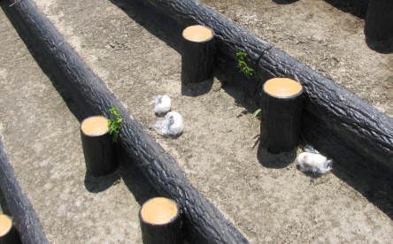 onigiri.jpg